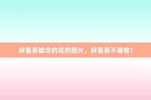 好意思瞻念的花的图片,好意思不堪收!